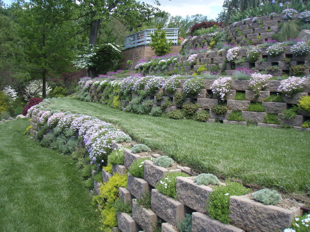 Modern Terrace Landscape
 Living Walls A Terraced Garden in Pikesville