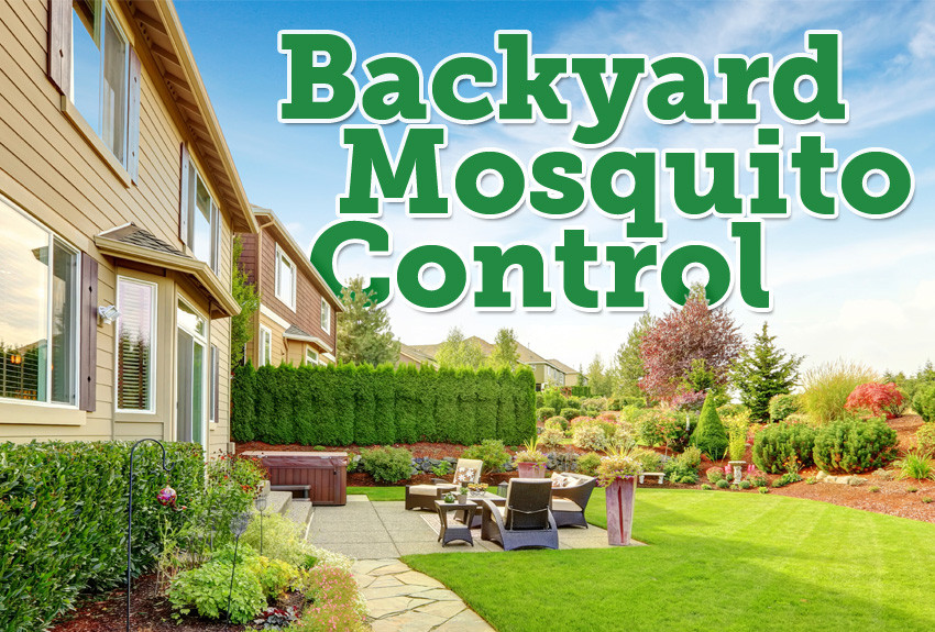 Mosquito Repellent For Backyard
 The Best Mosquito Granules for Backyards Mosquito