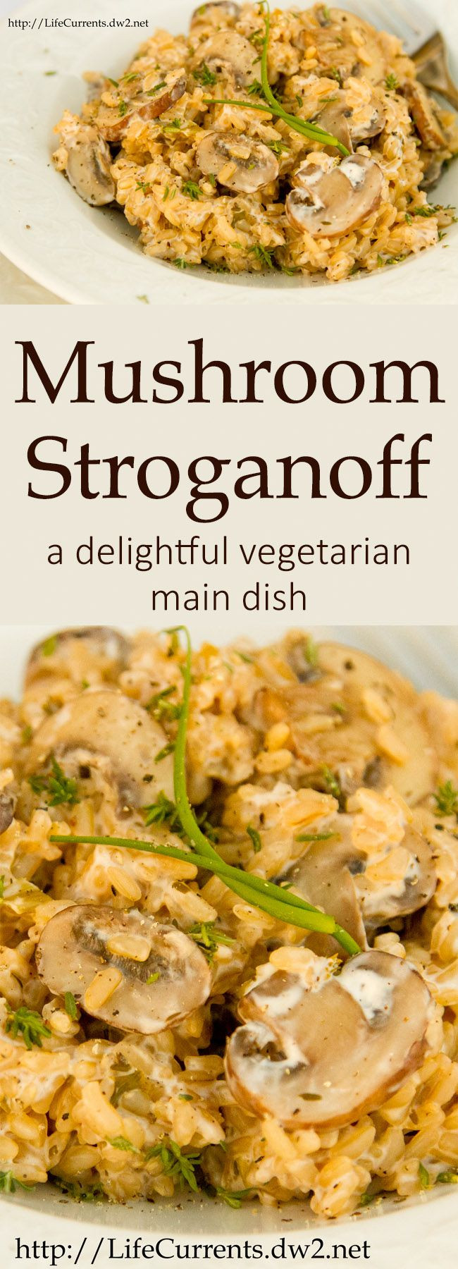 Mushroom Main Dish Recipes Healthy
 Mushroom Stroganoff a delightful ve arian main dish