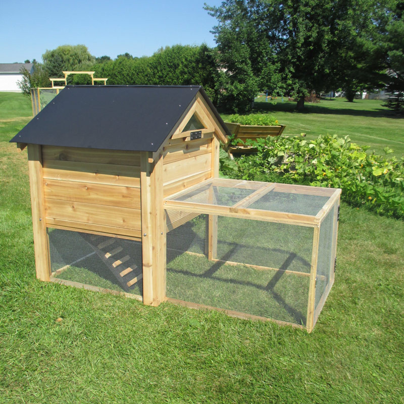 My Backyard Chicken
 Red Cedar Backyard Coop 4 6 chickens