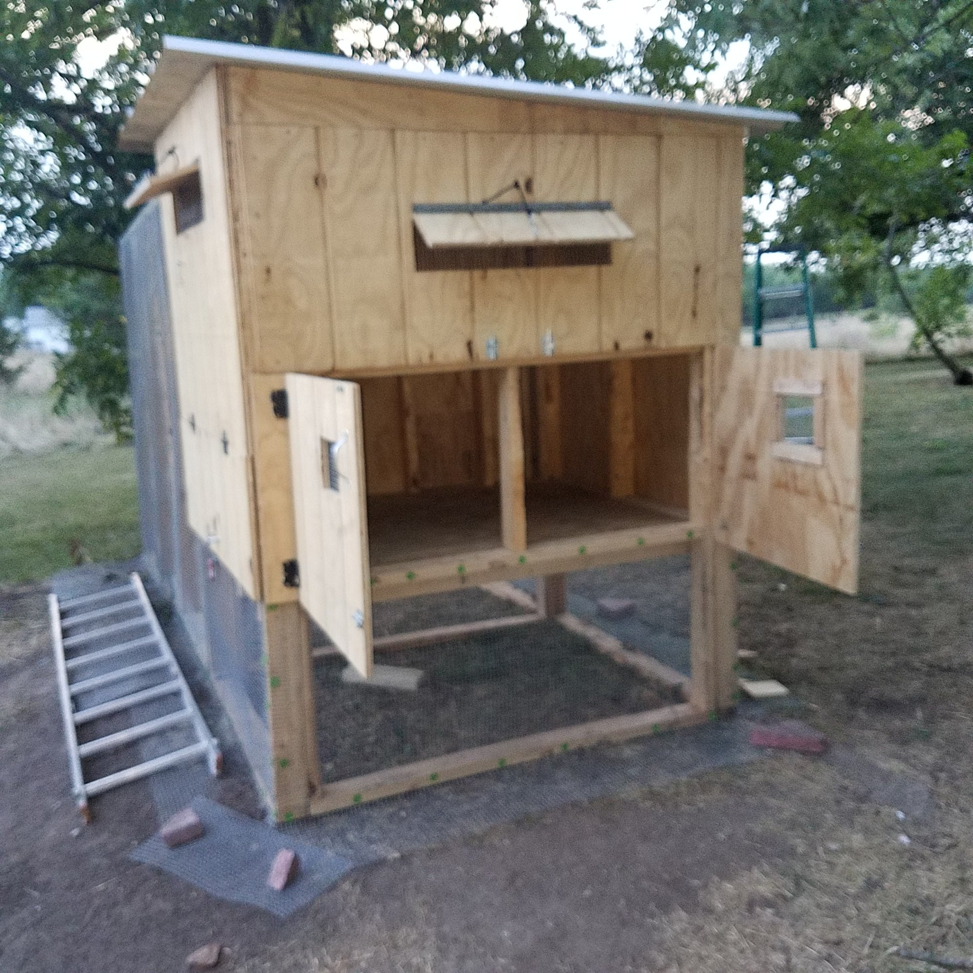 My Backyard Chicken
 My chicken coop