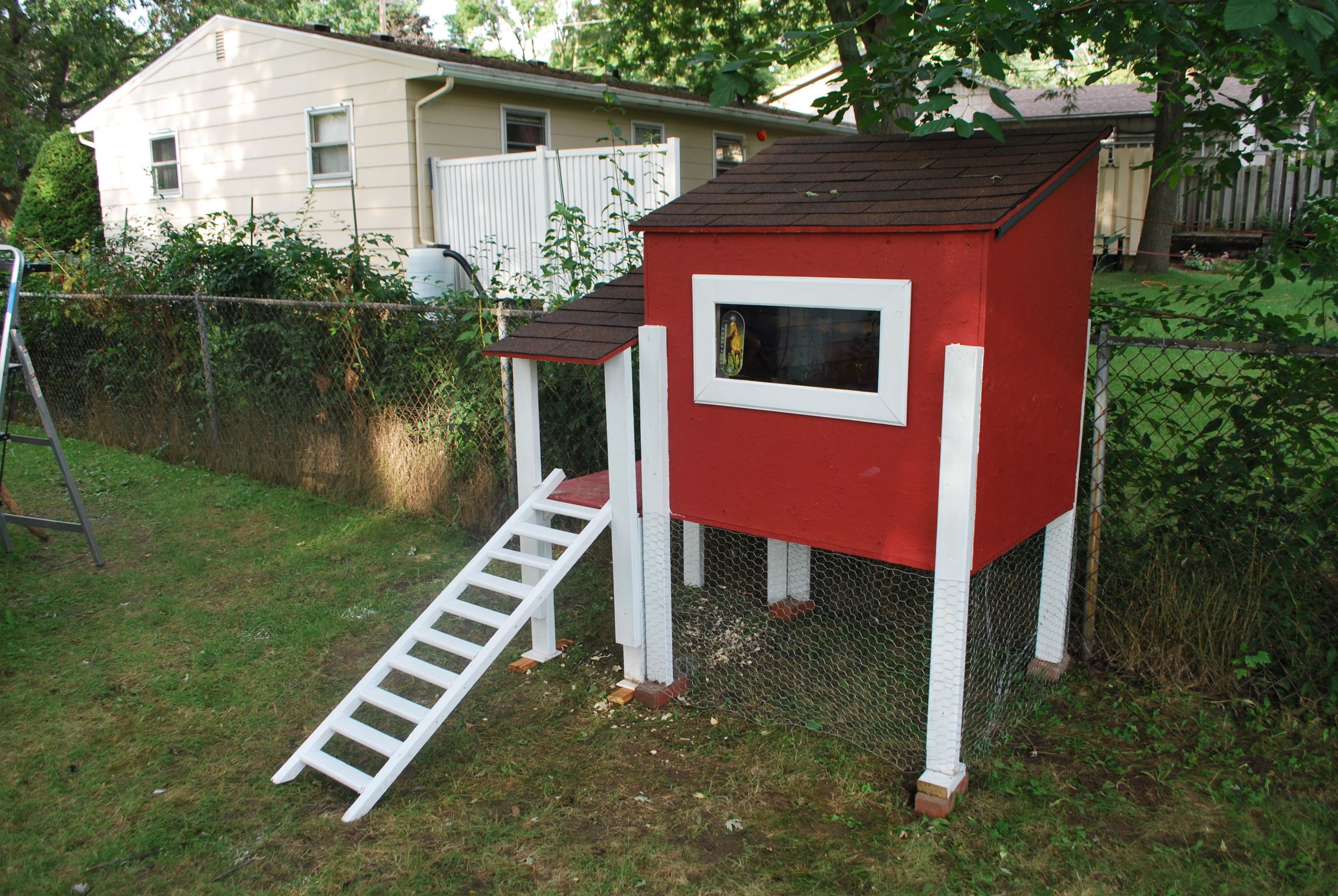 My Backyard Chicken
 Raising Chickens in Madison