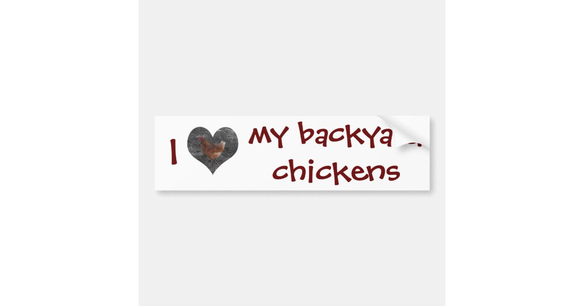 My Backyard Chicken
 I Love My Backyard Chickens Bumper Sticker