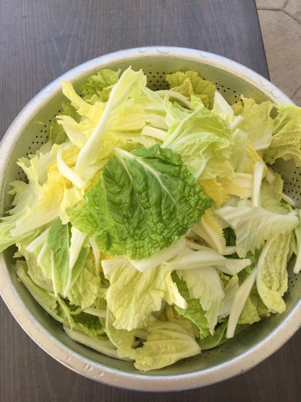 Napa Cabbage Stir Fry
 Napa Cabbage Stir Fry Recipe