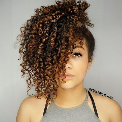 Natural Curly Ponytail Hairstyles
 60 Styles and Cuts for Naturally Curly Hair in 2018
