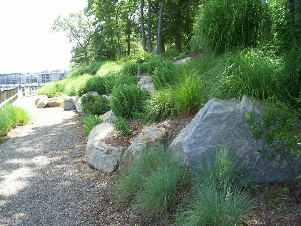 Natural Landscape Design
 Natural Waterfront Landscape Design