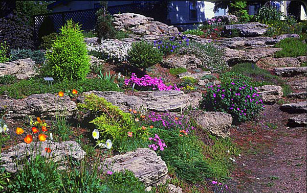 Natural Terrace Landscape
 20 Fabulous Rock Garden Design Ideas