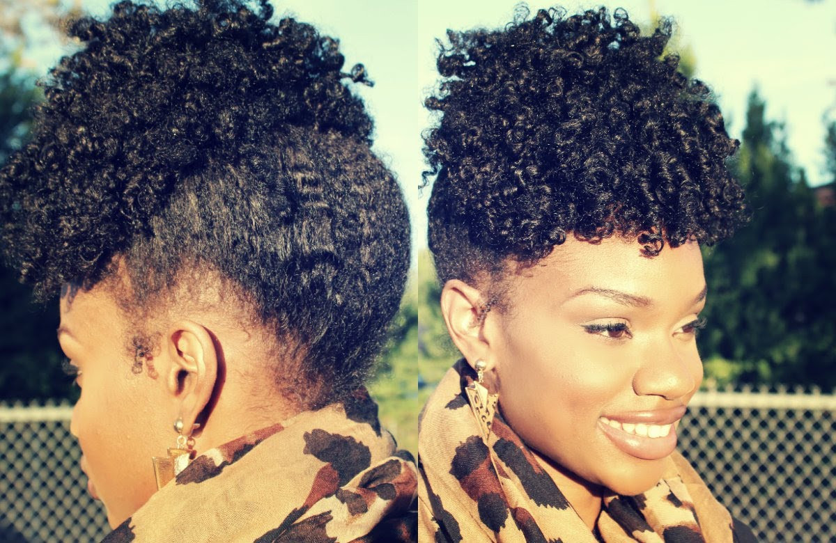 Natural Twist Updo Hairstyles
 26 Natural Hairstyles for Black Women