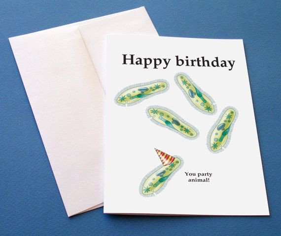 Nerdy Birthday Cards
 40 best images about Nerdy Birthday Cards on Pinterest