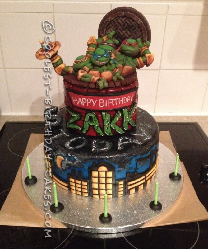 Ninja Turtle Birthday Cake
 Coolest Ninja Turtles Birthday Cakes