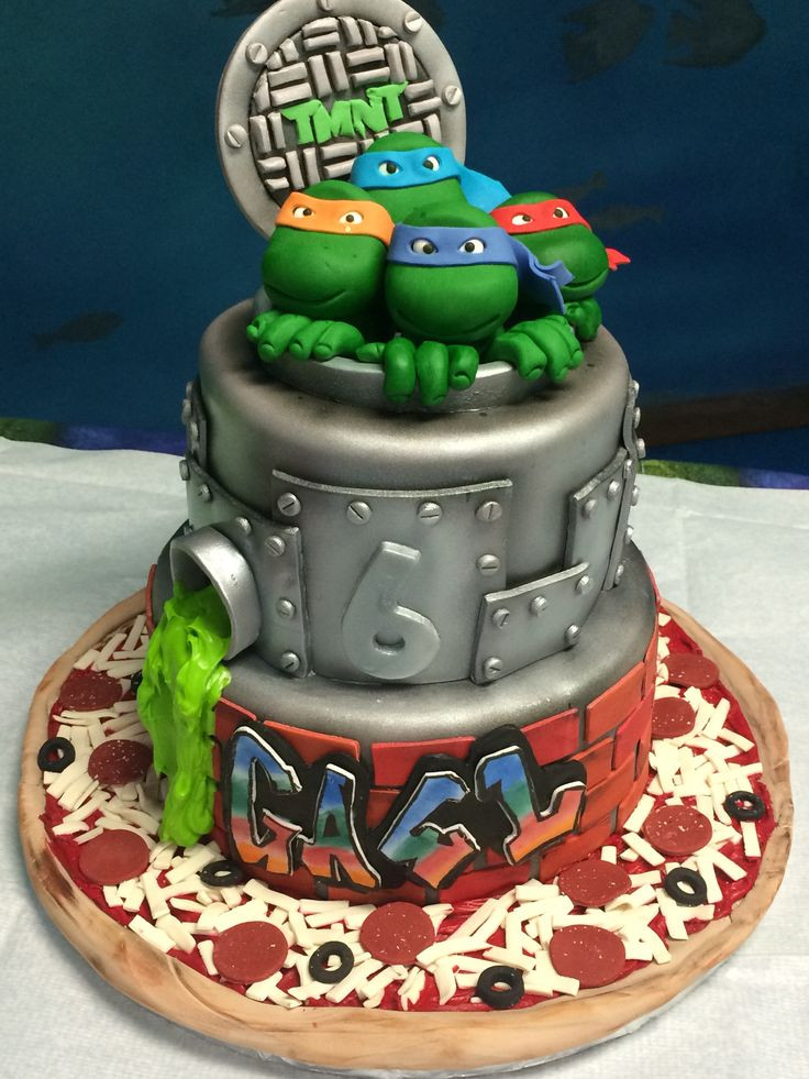 Ninja Turtle Birthday Cake
 Tmnt Birthday Cakes