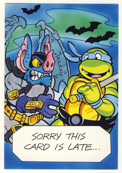 Ninja Turtle Birthday Card
 Leonardo & Wingnut Belated Birthday Greeting Card Ninja