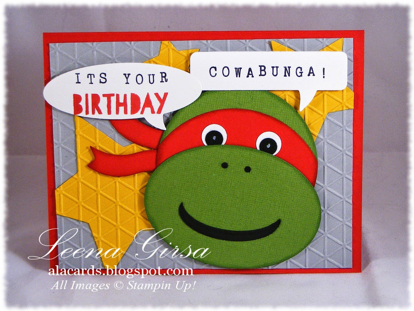 Ninja Turtle Birthday Card
 A La Cards Ninja Turtle Birthday