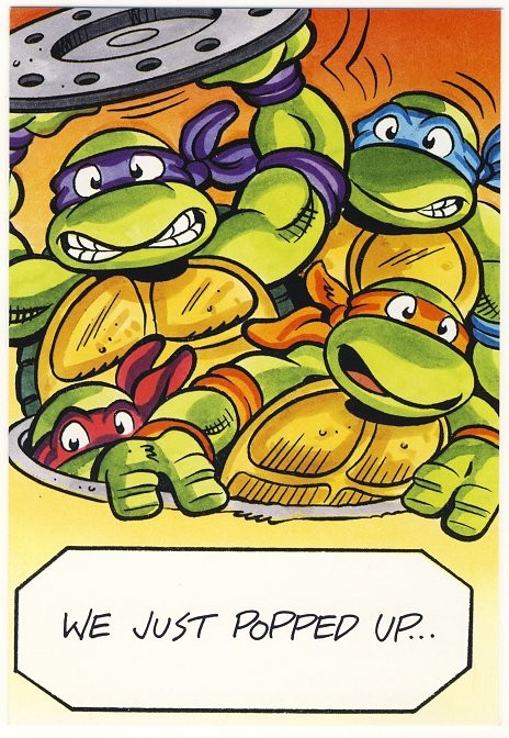 Ninja Turtle Birthday Card
 Teenage Mutant Ninja Turtles Birthday Greeting Card TMNT