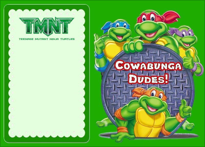 Ninja Turtle Birthday Invitations
 Teenage Mutant Ninja Turtles Another Great Idea for a