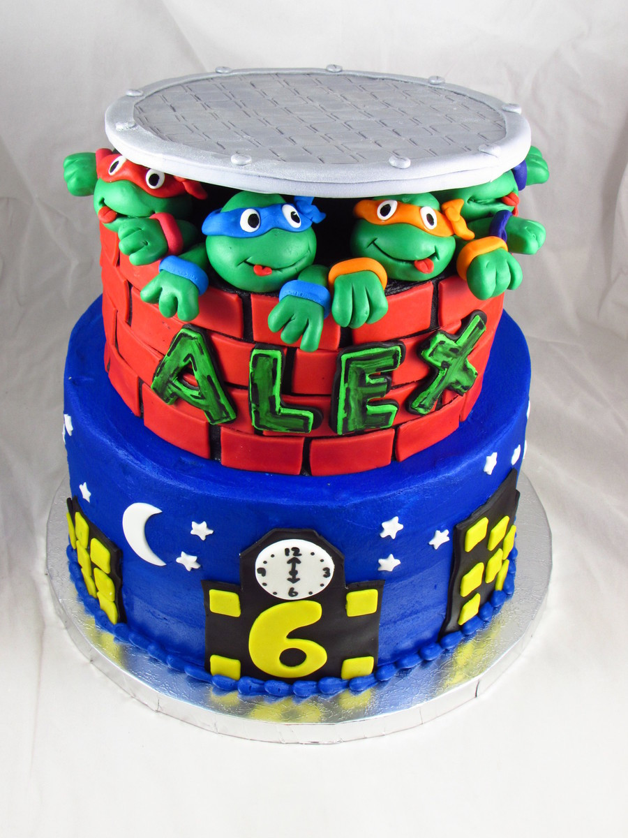 Ninja Turtles Birthday Cakes
 Teenage Mutant Ninja Turtles Birthday Cake CakeCentral