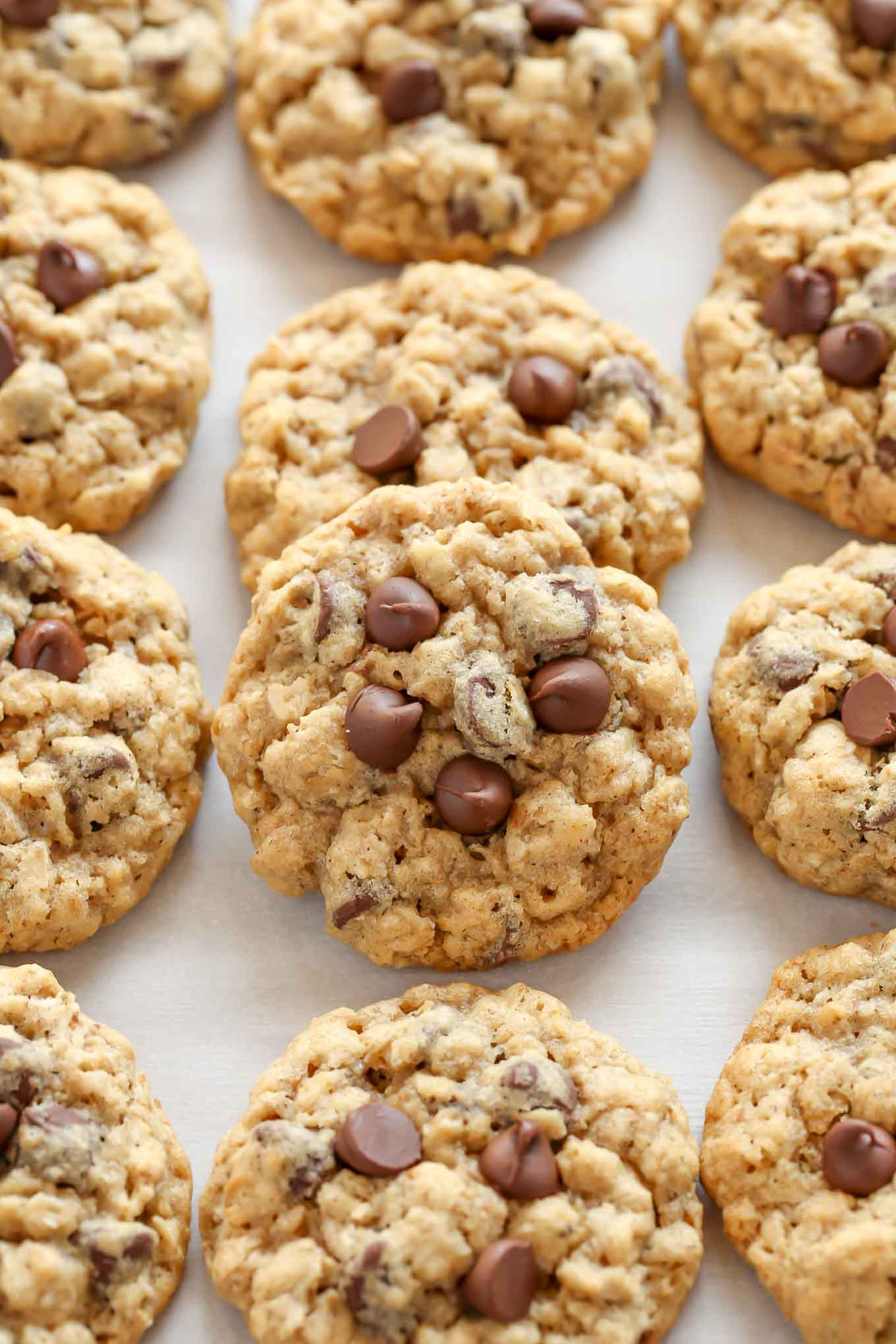 Oatmeal Cookies For Two
 Soft and Chewy Oatmeal Chocolate Chip Cookies Live Well