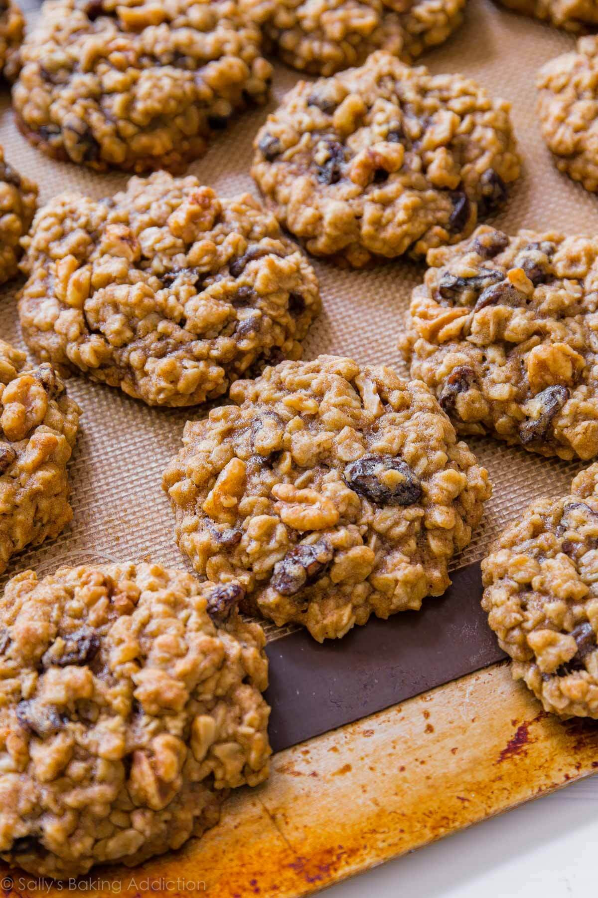 Oatmeal Cookies Recipes
 Soft & Chewy Oatmeal Raisin Cookies Sallys Baking Addiction