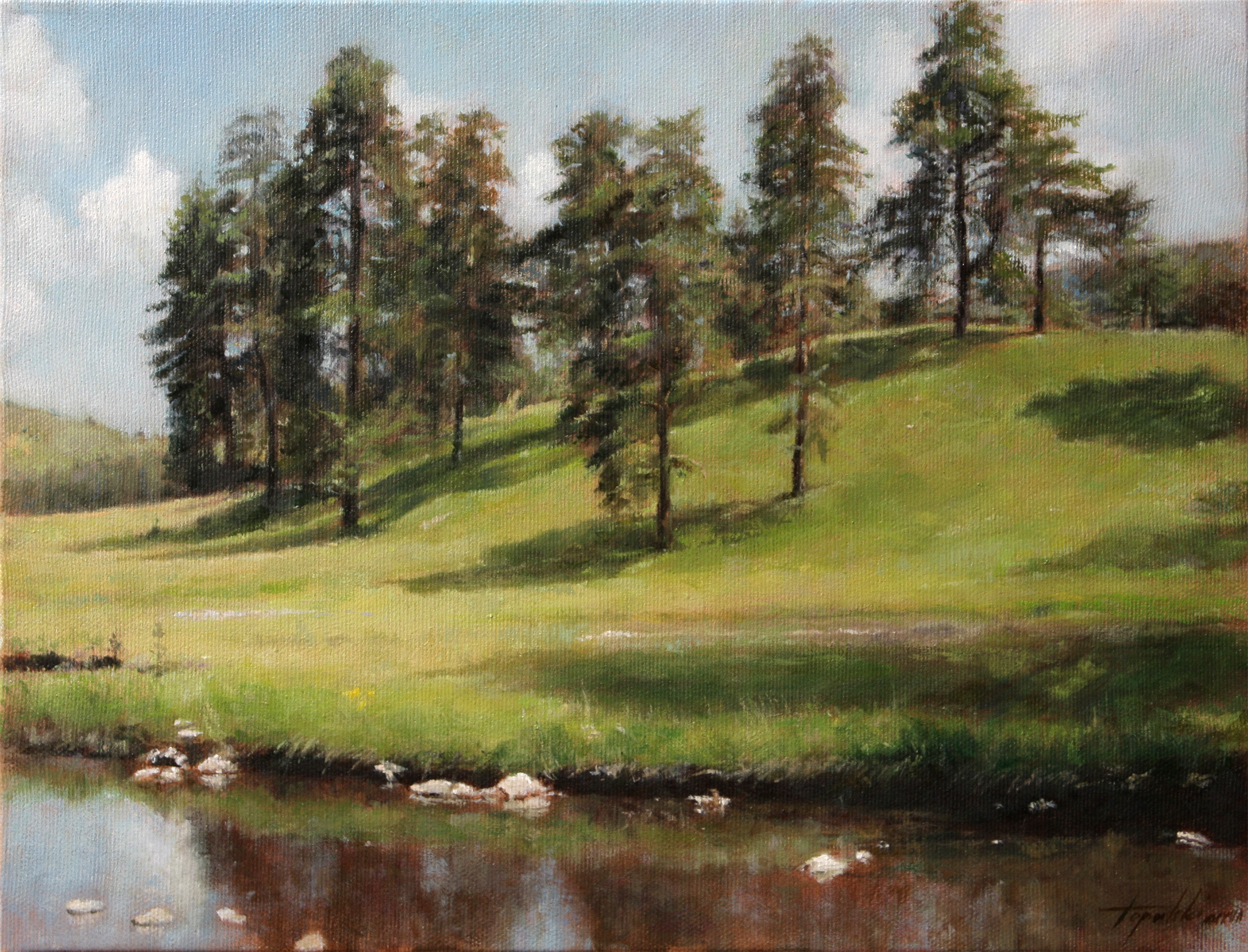Oil Paintings Landscape
 Mountain Hillside – Landscape Oil Painting