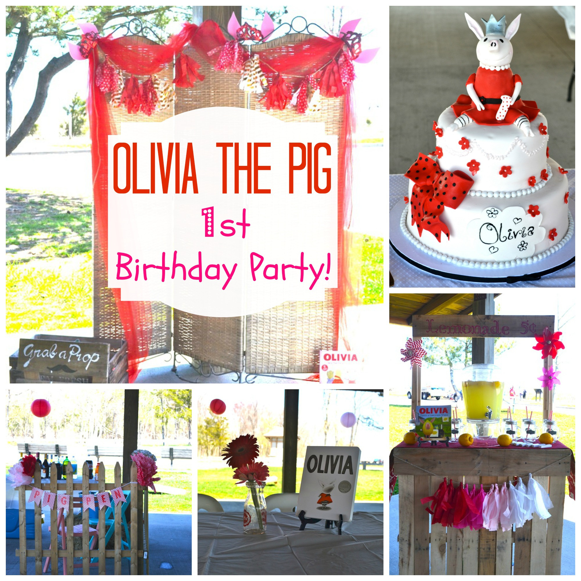 Olivia Birthday Party
 Olivia The Pig Themed First Birthday Party
