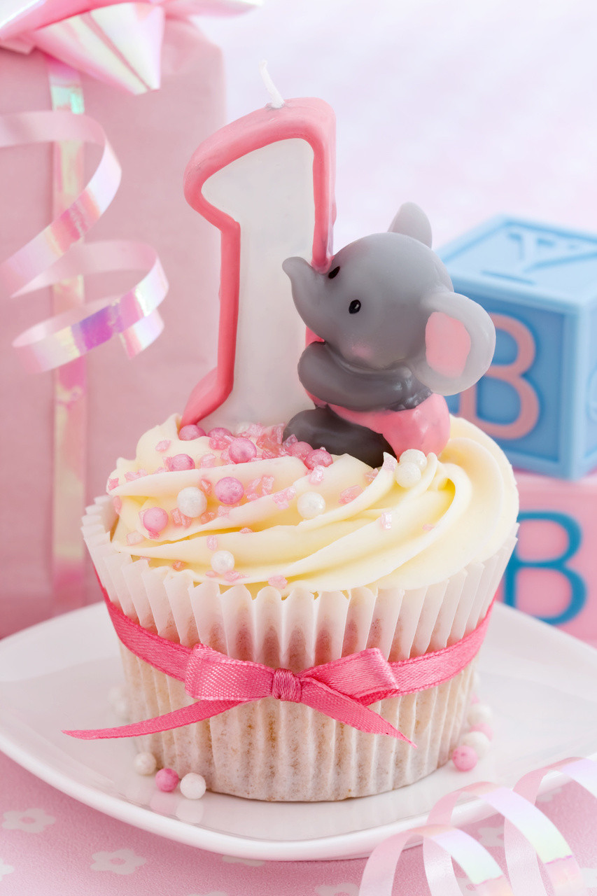 One Year Old Girl Birthday Party Ideas
 1st Birthday Ideas First Birthday Themes 1st Birthday