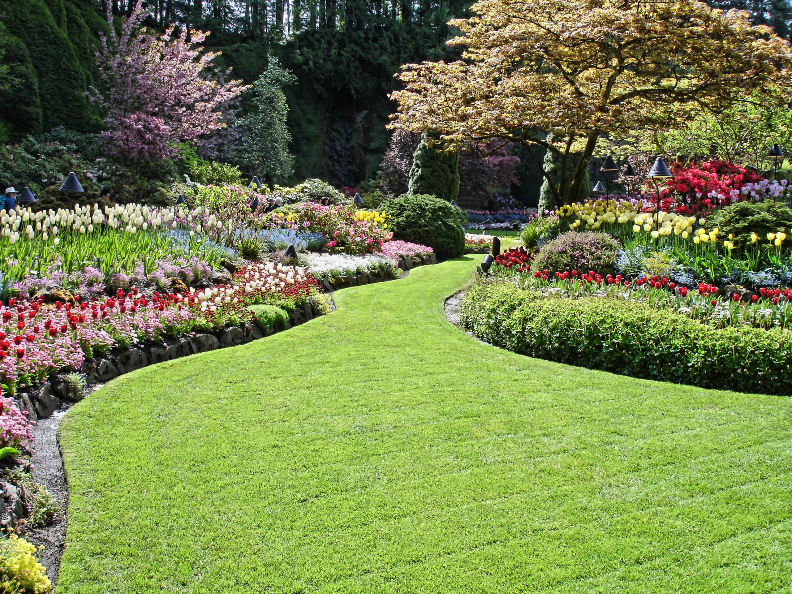 Online Landscape Design Service
 The Landcare Group Long Island Landscaping The Landcare Group