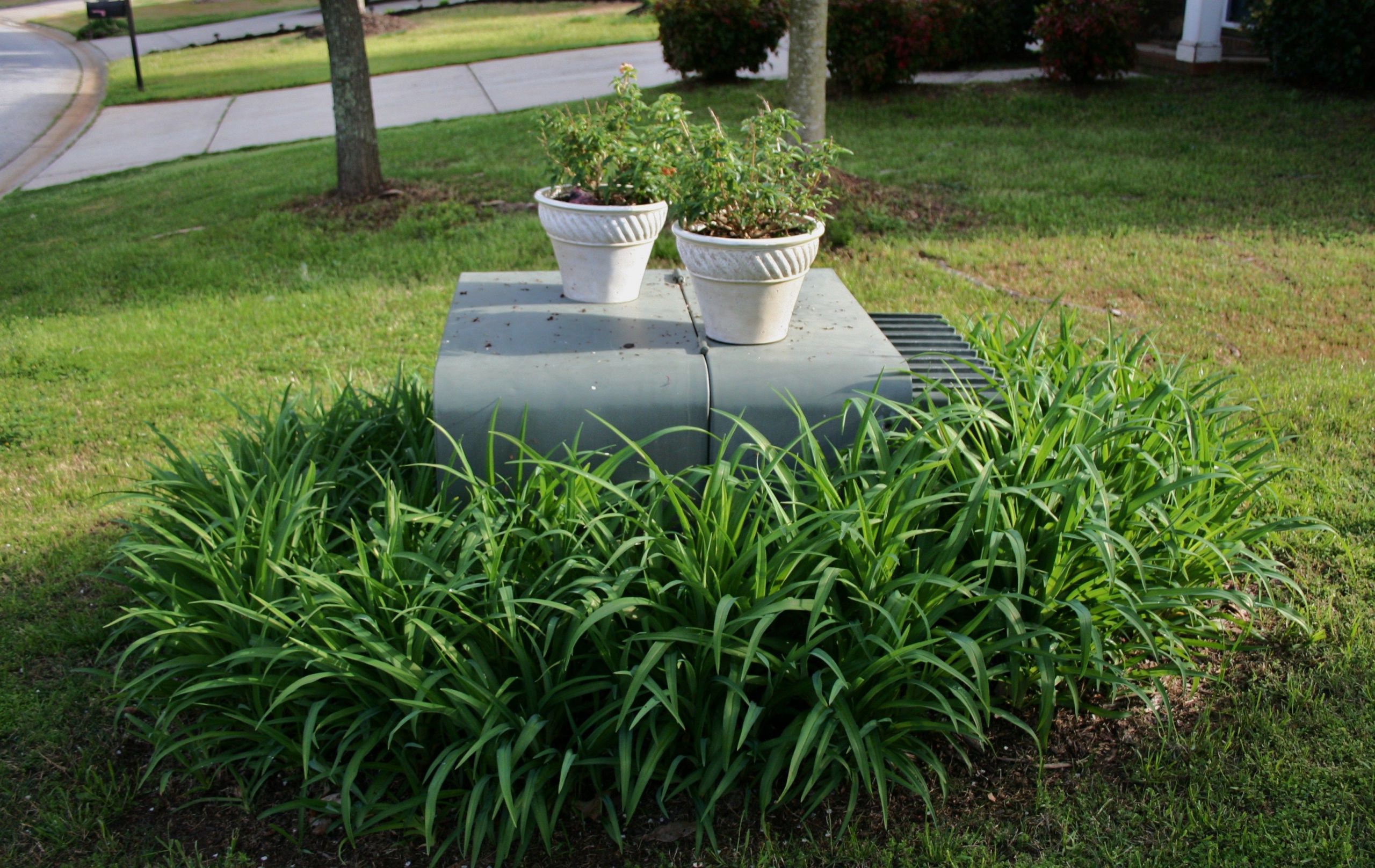 Outdoor Electrical Box Covers Landscaping
 I nestled them on top of the big green electrical box