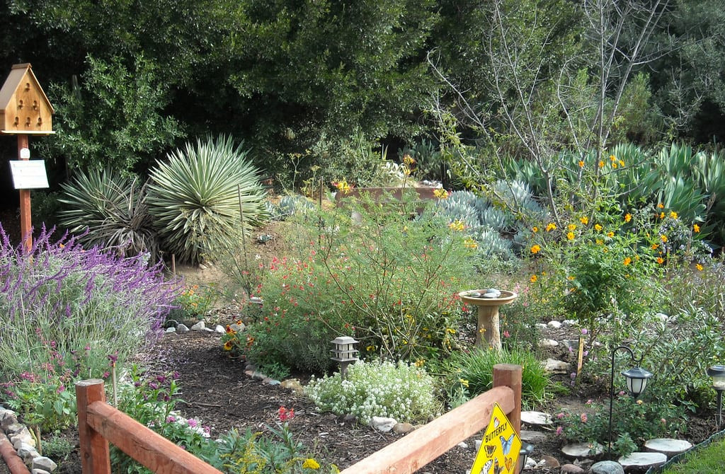 Outdoor Landscape Backyard
 My Simple Guide to Creating Backyard Wildlife Habitat