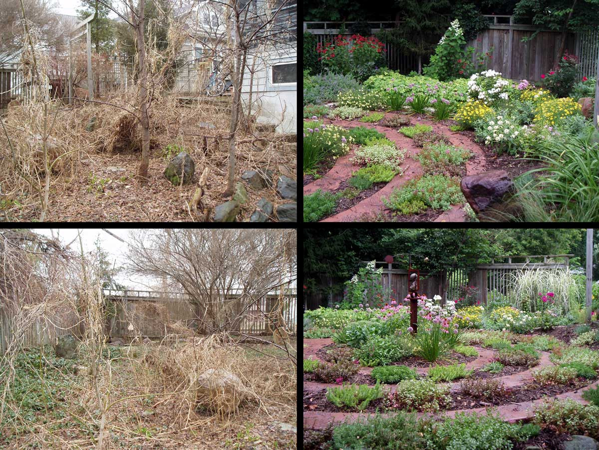 Outdoor Landscape Before And After
 beforeafter