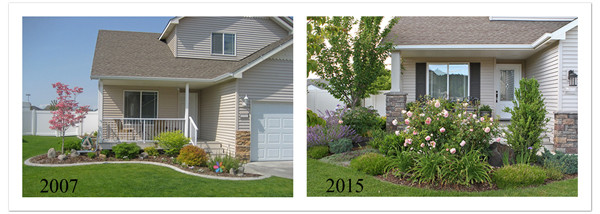 Outdoor Landscape Before And After
 VW Garden Before and After Landscape s