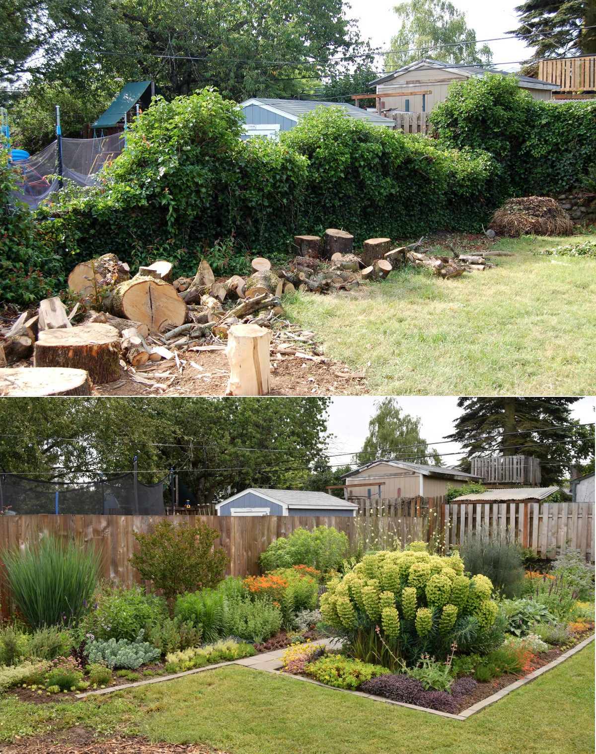 Outdoor Landscape Before And After
 My garden before and after 2 years apart gardening