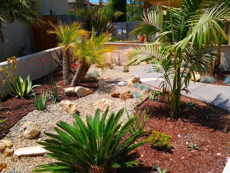 Outdoor Landscape Desert
 Desert Landscaping Ideas to Make Your Backyard Look