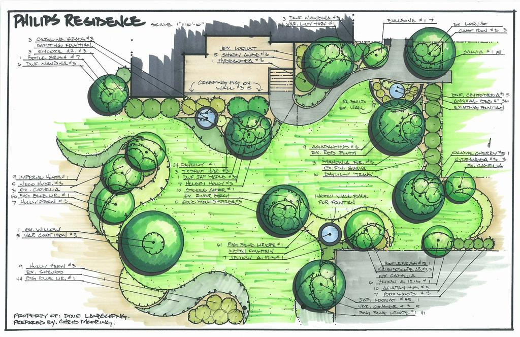 Outdoor Landscape Drawing
 Landscape Design