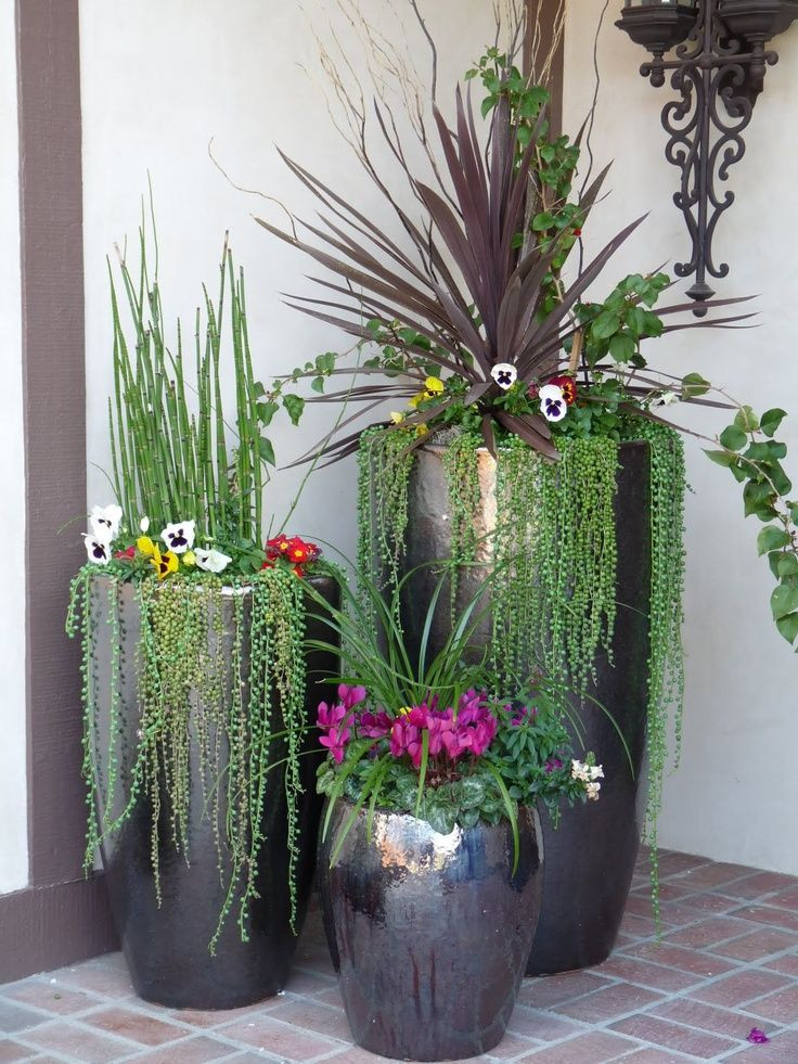Outdoor Landscape Flowers
 Potted Garden Design Ideas & Tips