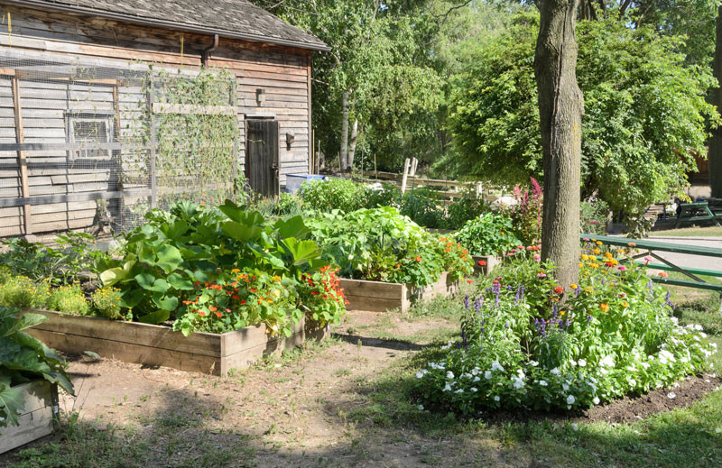 Outdoor Landscape On A Budget
 10 Smart Ways to Garden on a Bud Modern Farmer