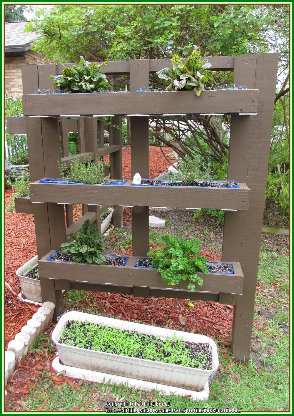 Outdoor Landscape Patio
 Vertical Herb Garden Garden