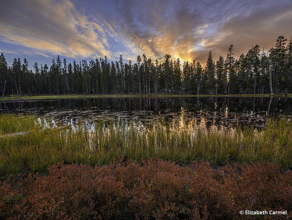 Outdoor Landscape Photography
 The Medium Format Landscape Outdoor grapher