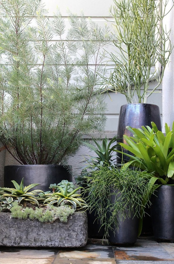 Outdoor Landscape Pots
 Potted Garden Design Ideas & Tips