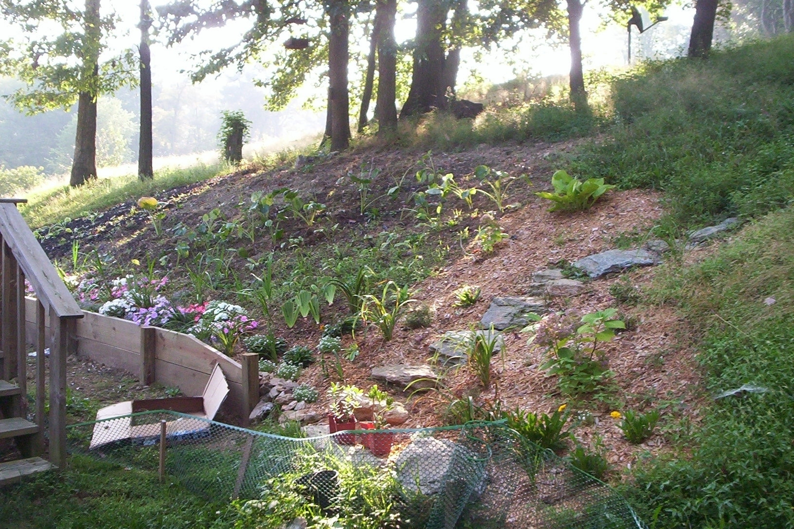 Outdoor Landscape Slope
 Creative Hillside Landscape Ideas — Randolph Indoor and