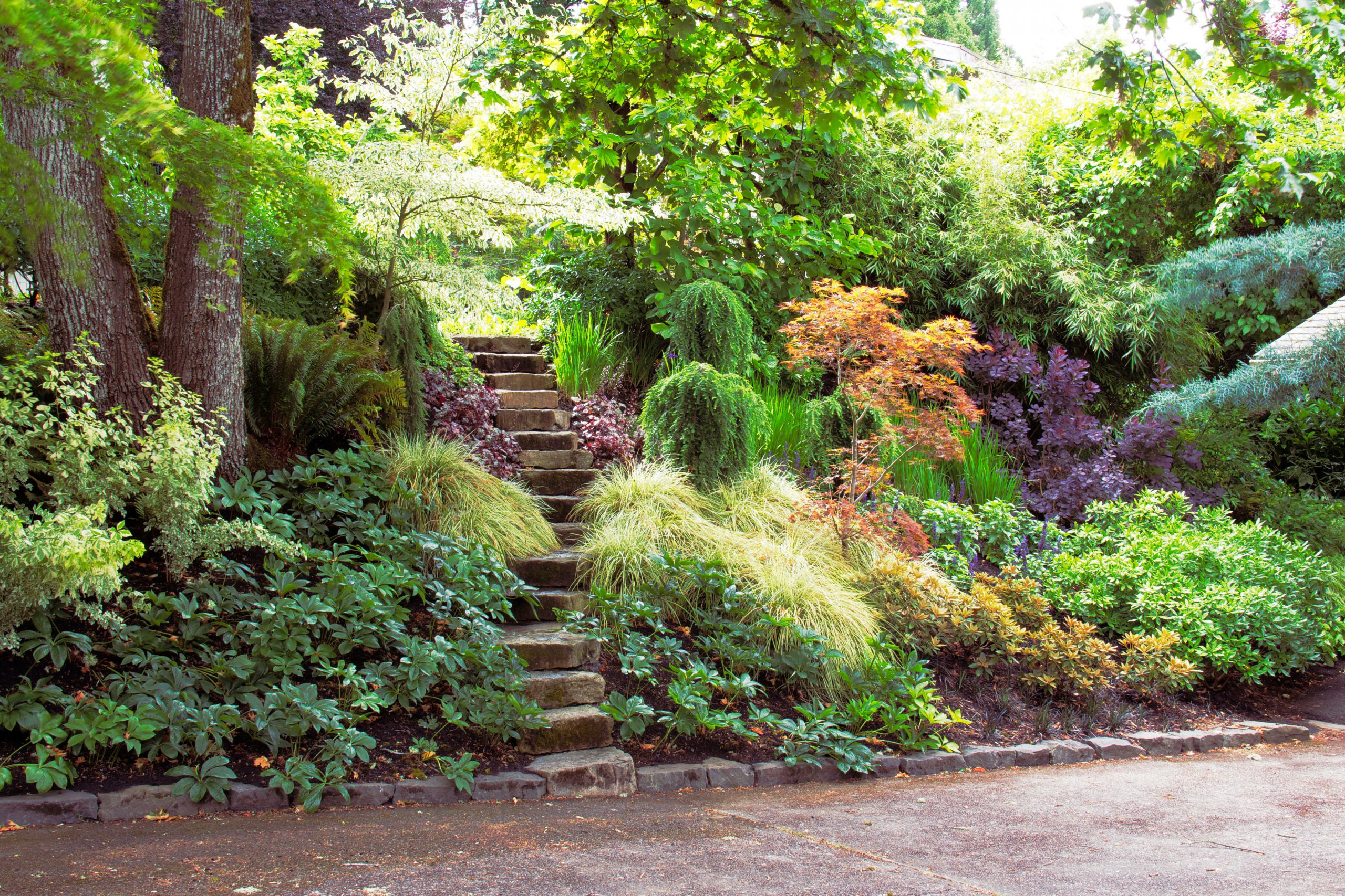 Outdoor Landscape Slope
 11 Great Shade Gardens Sunset Magazine