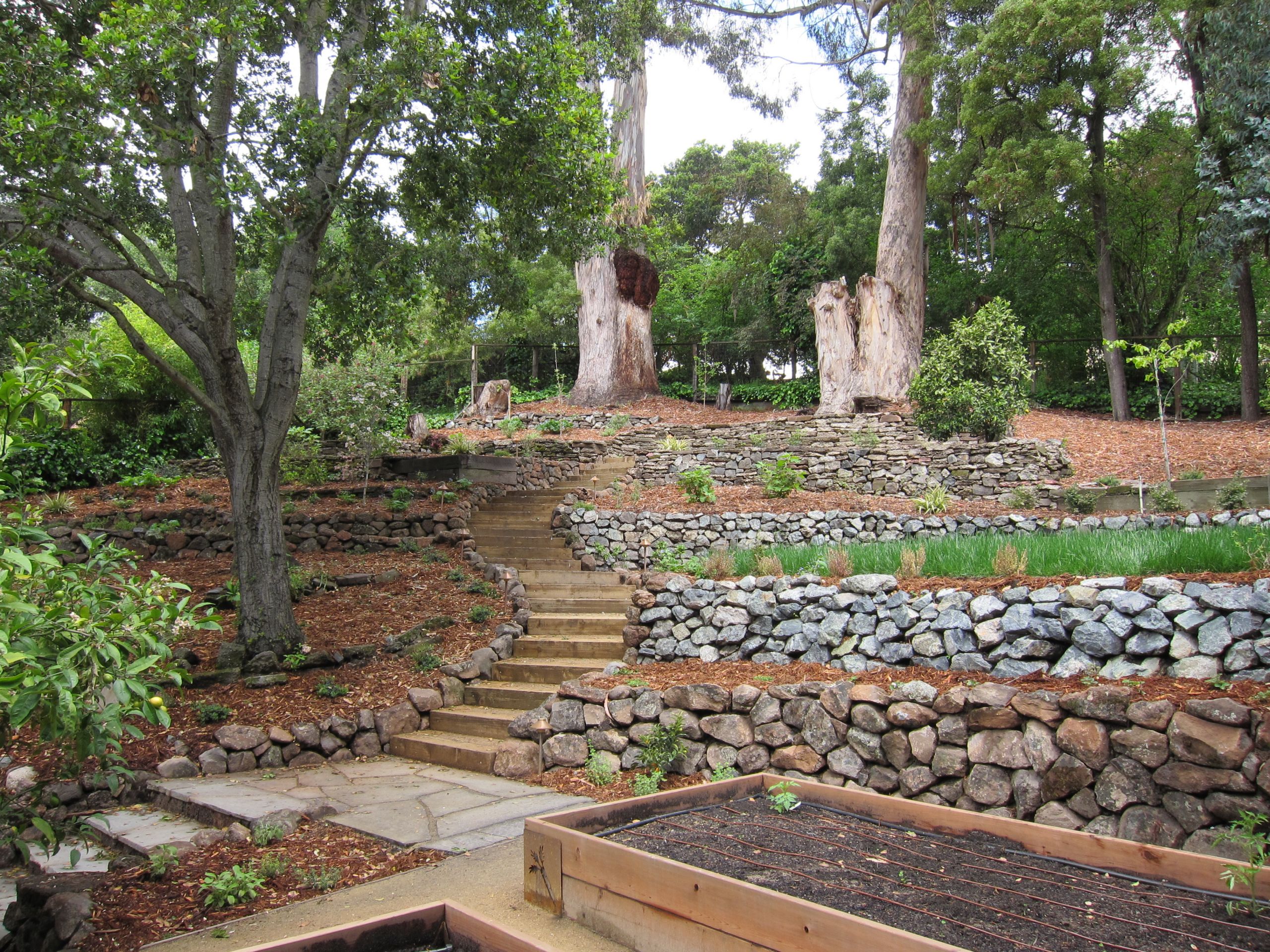 Outdoor Landscape Slope
 Oakland Sloped Garden