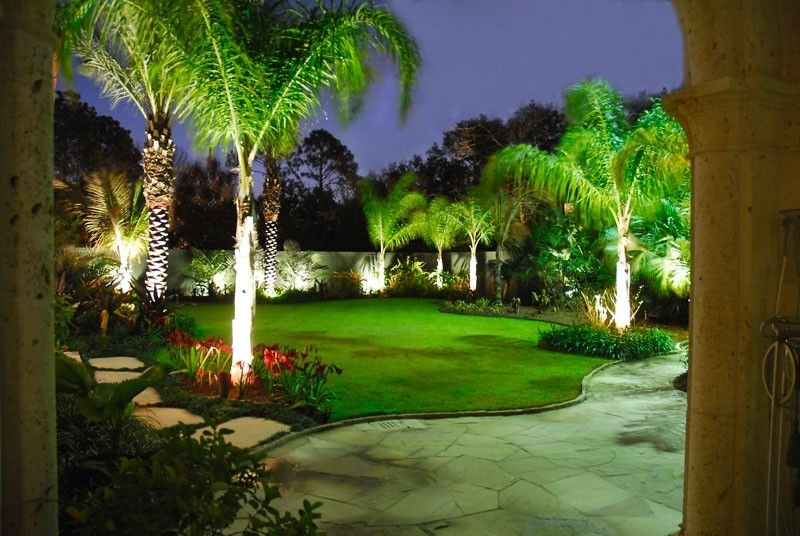 Outdoor Landscape Trees
 PALM TREES