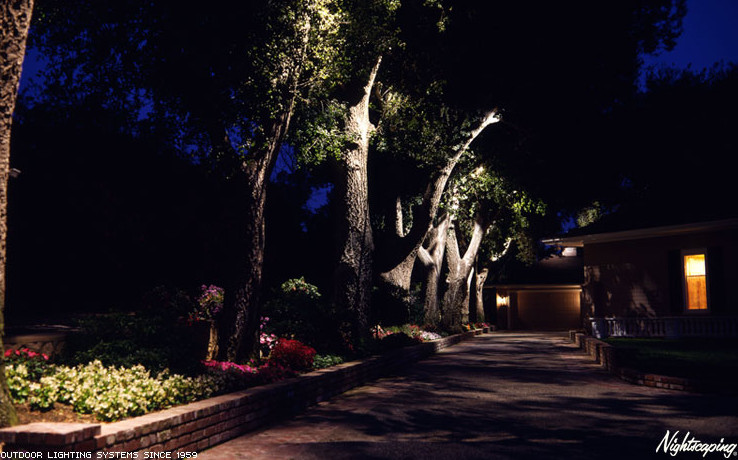 Outdoor Landscape Trees
 Outdoor Lighting