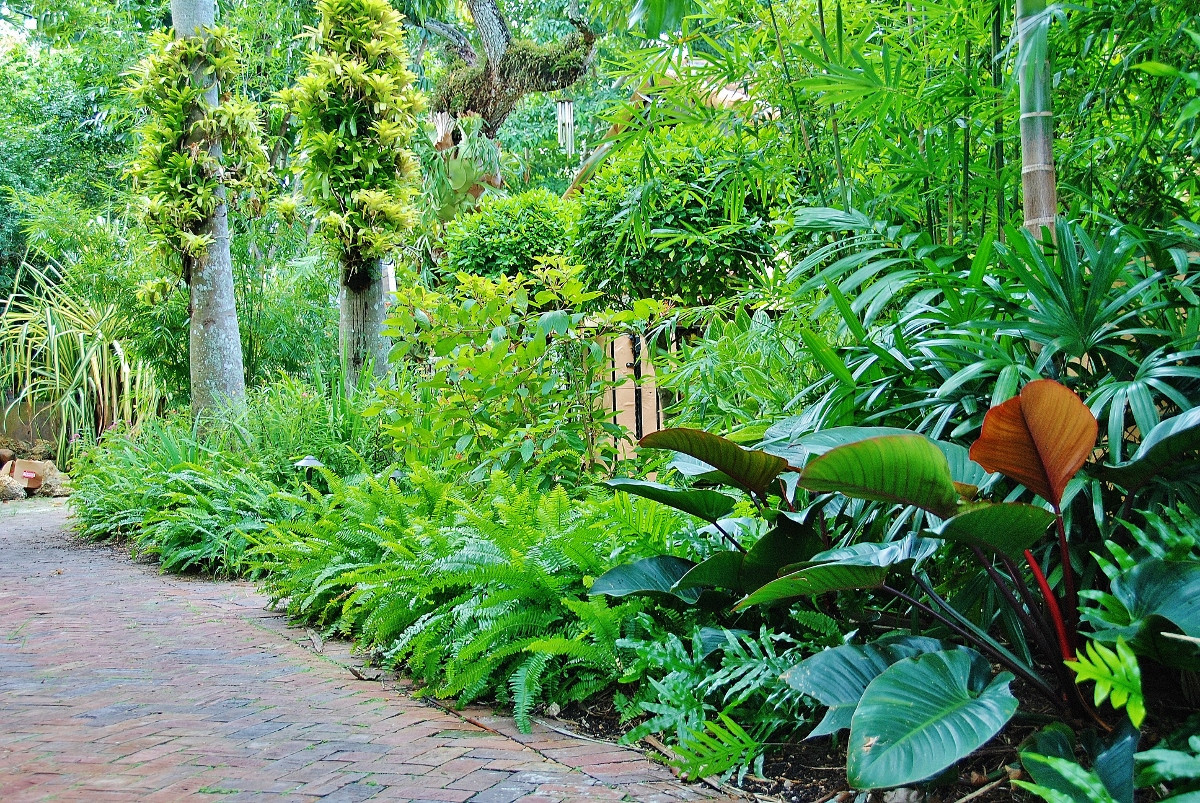 Outdoor Landscape Tropical
 Tropical Landscape Garden Design Miami Knoll Landscape