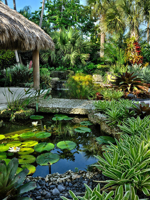 Outdoor Landscape Tropical
 Tropical Garden Home Design Ideas Remodel and Decor
