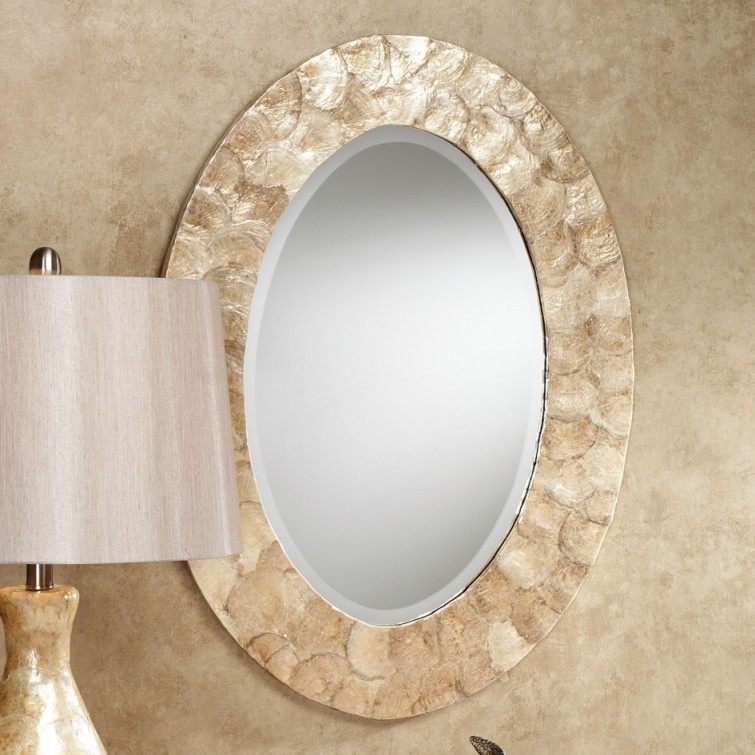 Oval Bathroom Mirrors Brushed Nickel
 Bathroom Bring A Touch Calm Elegance To Your Bathroom