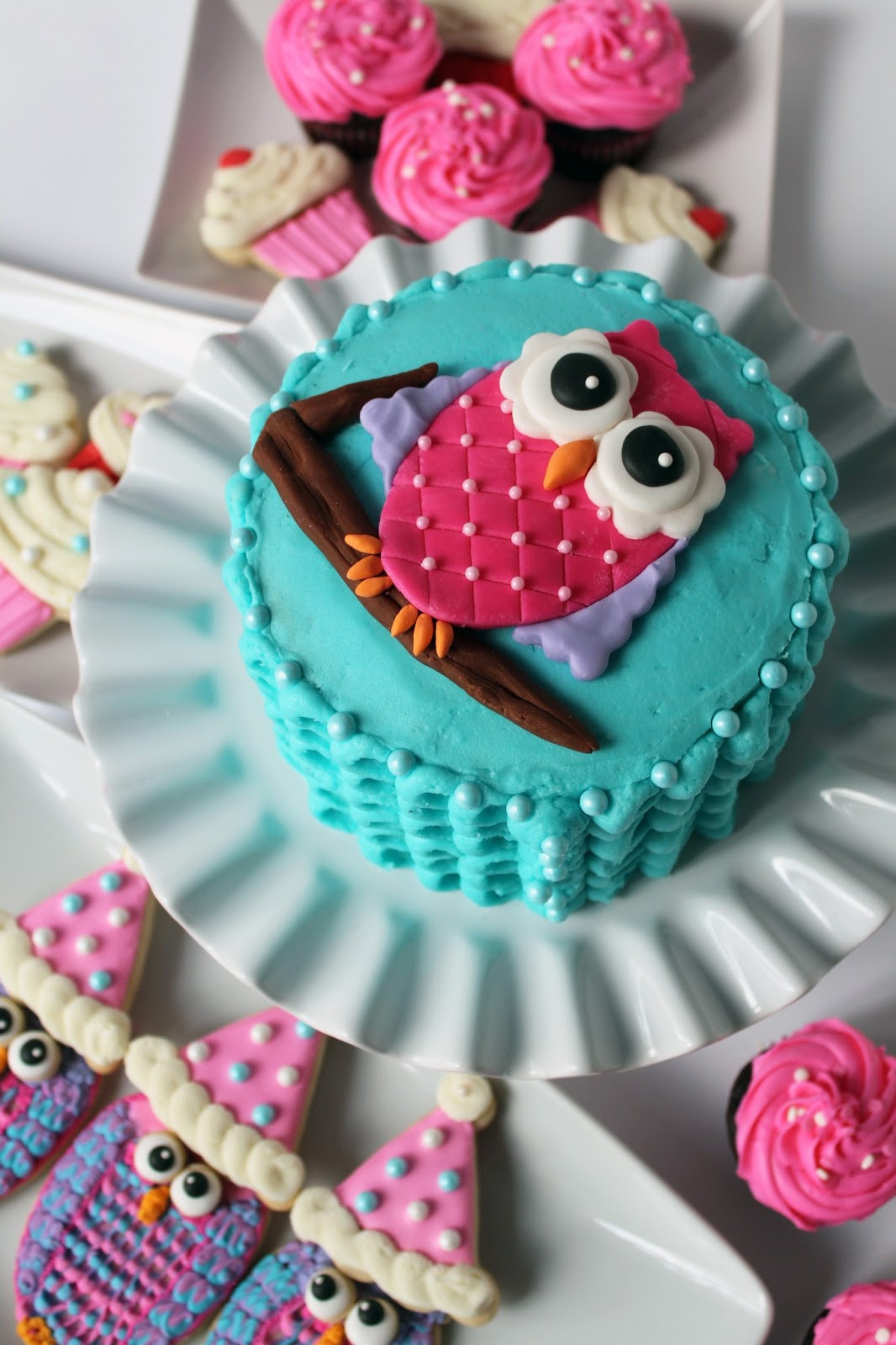 Owl Birthday Cakes
 Worth Pinning Owl Smash Cake for 1st Birthday