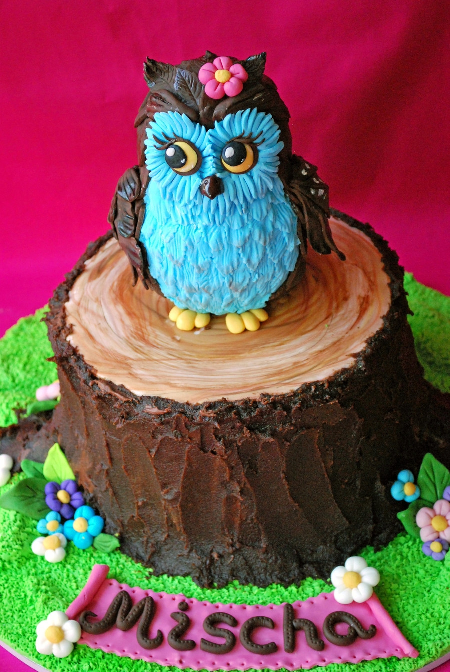 Owl Birthday Cakes
 Owl Cake CakeCentral