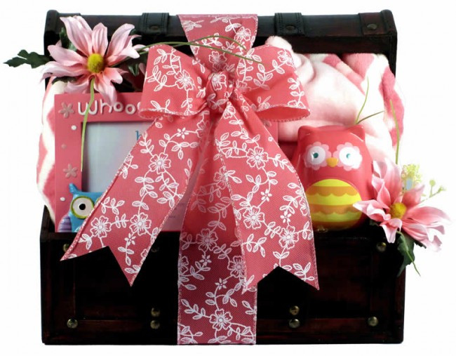 Owl Themed Baby Gifts
 Whooo s A Cutie Baby Girl Gift Basket Owl Themed Baby