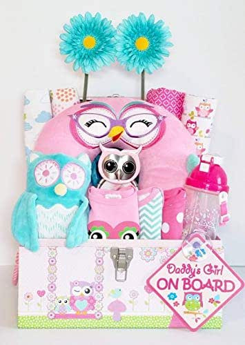 Owl Themed Baby Gifts
 Amazon Owl Gift Basket Baby Girl Gift Basket Owl